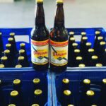 Cerveja Antárctica Original 600ml com 24 un