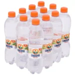 Água Mineral Lindoya Verão Com Gas Garrafa 510ml Fardo C/12u